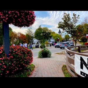 Meet your Posher, Ellaine